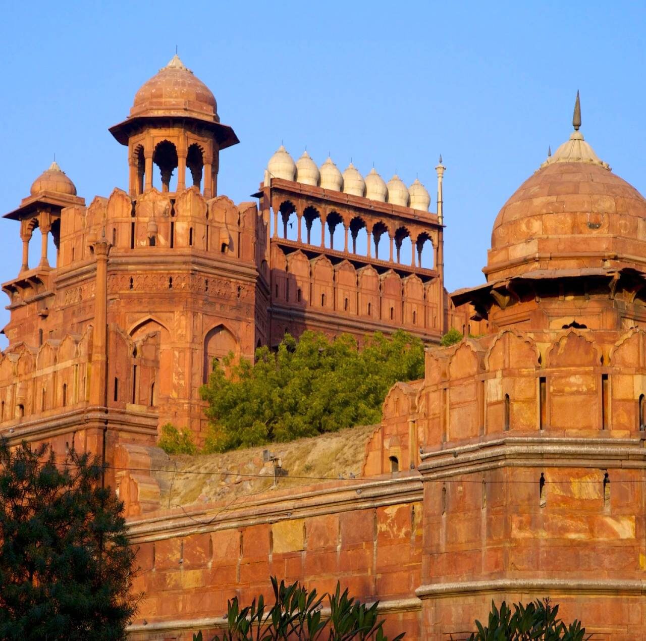 Essence of India with Holi