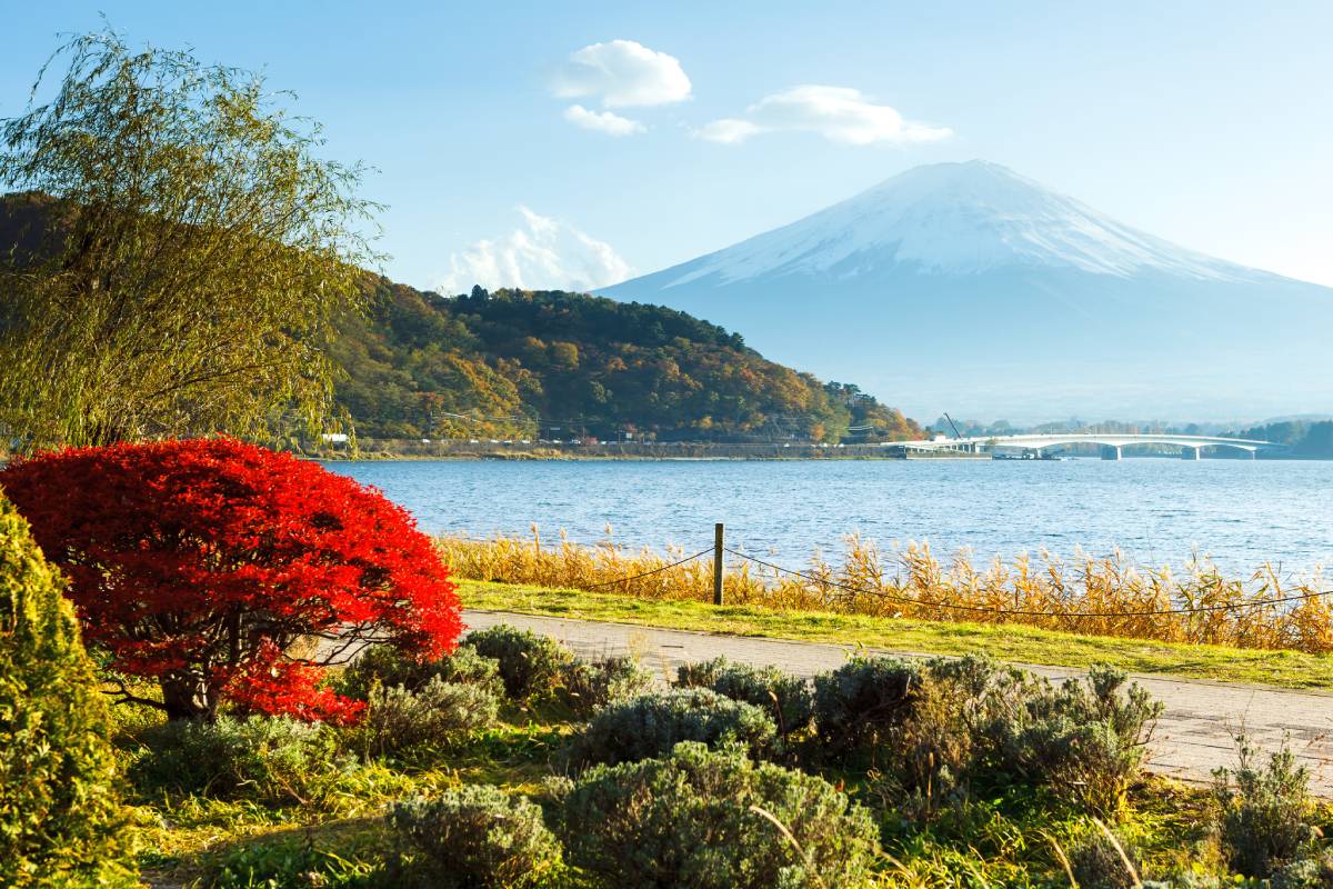 https://travelforless.us/wp-content/uploads/2024/09/mountain-fuji-in-autumn-2023-11-27-04-52-12-utc-1-1.jpg