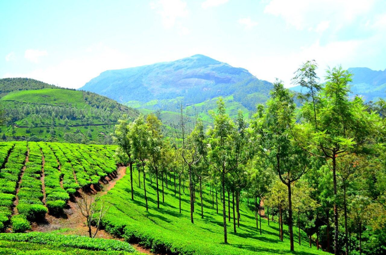 https://travelforless.us/wp-content/uploads/2024/10/Munnar_hill_station_-1280x848.jpg